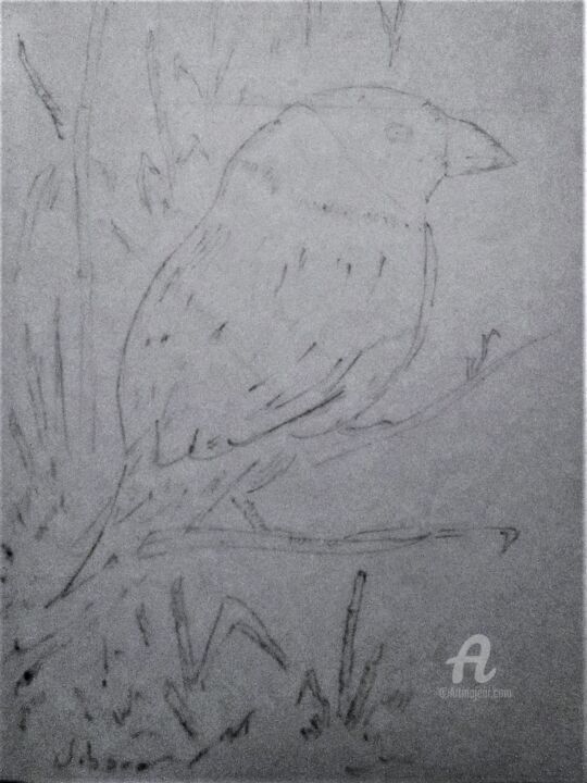 Drawing,  11.8x8.3 in 