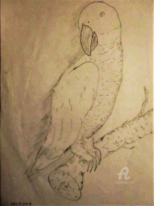 Le Perroquet. Drawing, 11.8x8.3 in