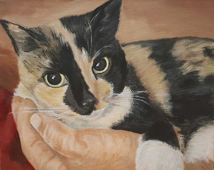 Keri cat 绘画, 8x10 in