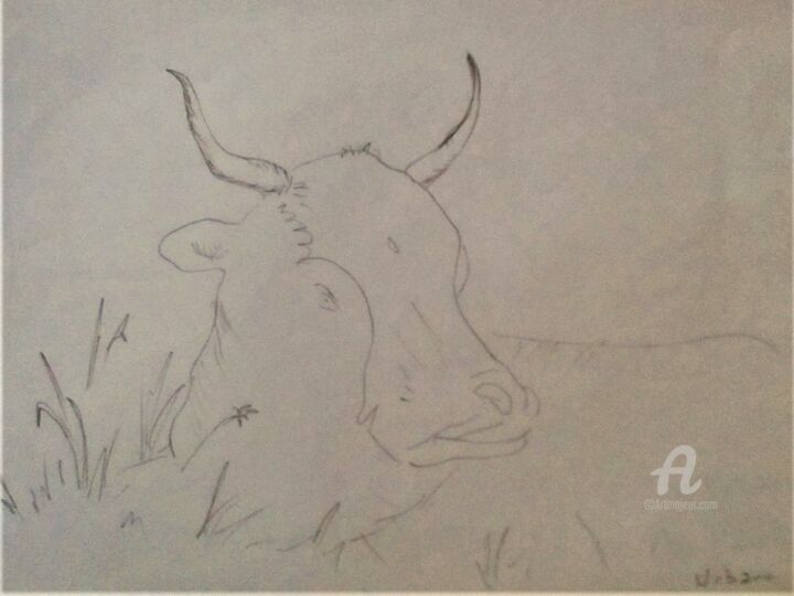 Taureau 图画, 8.3x11.4 in