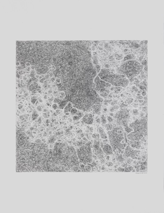 「"The Unpredictabili…」というタイトルの描画 Ana Lima-Nettoによって, オリジナルのアートワーク, グラファイト