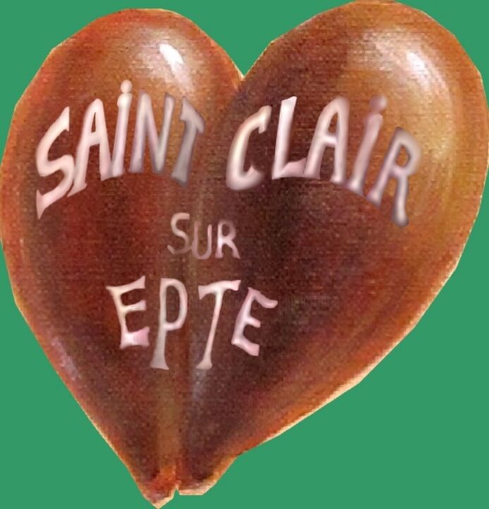 Saint-Clair-sur-Epte, pépins (graines) de pommes 绘画, 98.4x157.5 in