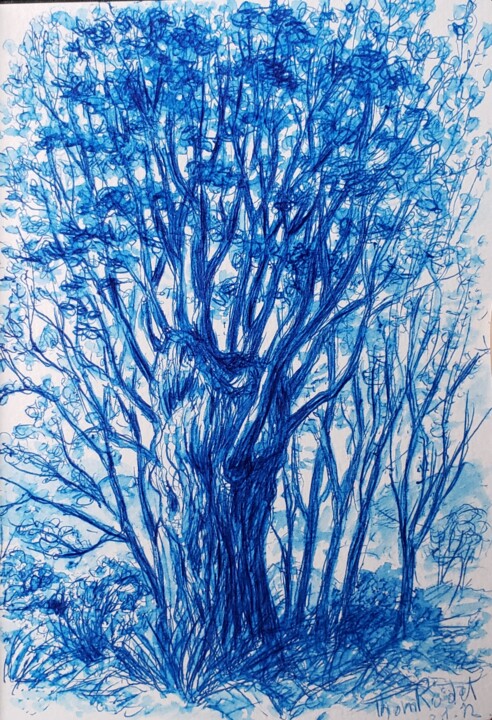 Têtard bleu et Co Drawing, 5.9x3.9 in