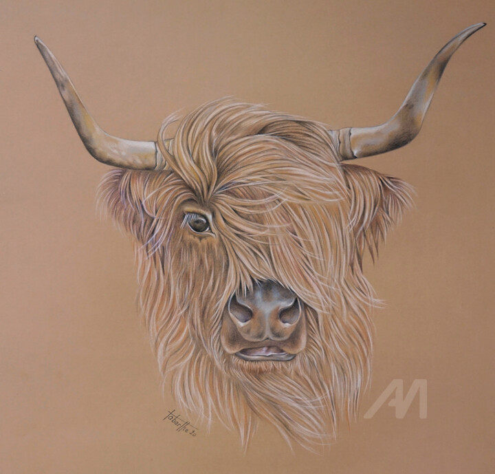 Vache Highland d'Ecosse 图画, 21.7x21.7 in