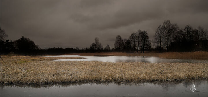 ПРЕДЗИМЬЕ Photography, 13.8x29.5 in