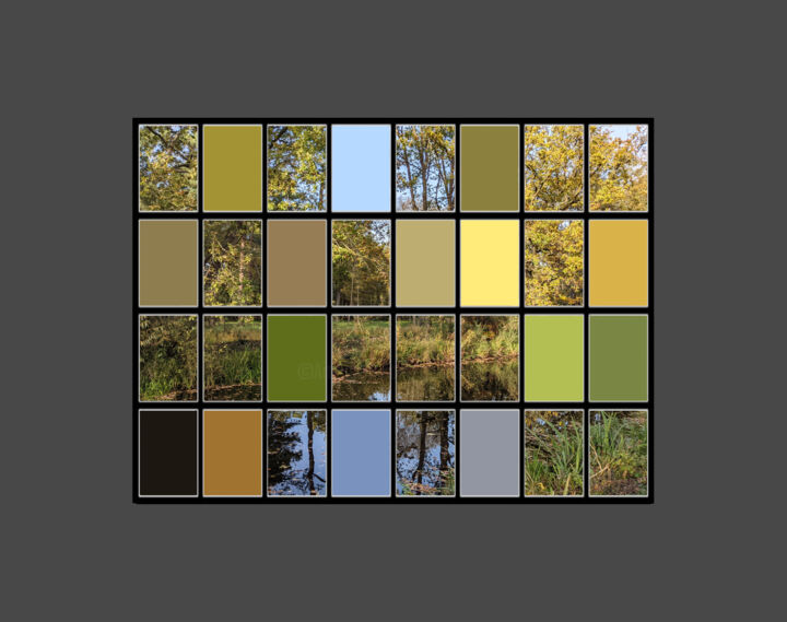 Digital Arts titled "Inherent Abstraction" by Gerald Shepherd F.F.P.S., Original Artwork, 2D Digital Work