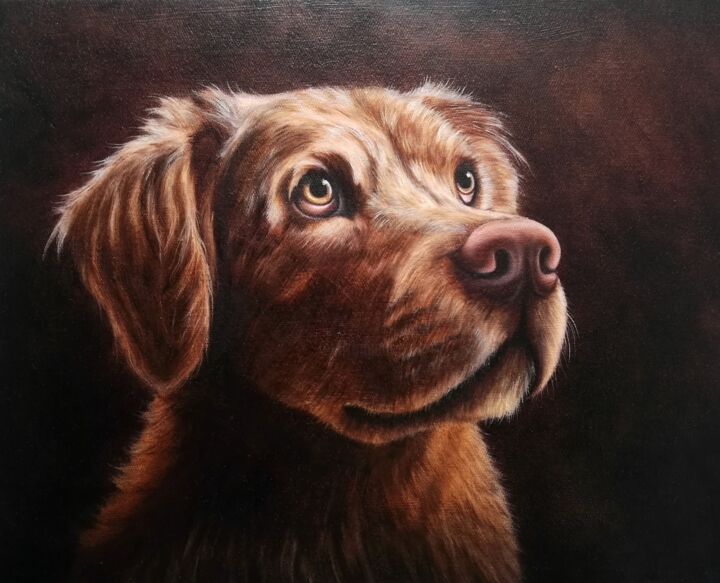 Chien format 33/41 cm clair obscur 绘画, 13x16.1 in