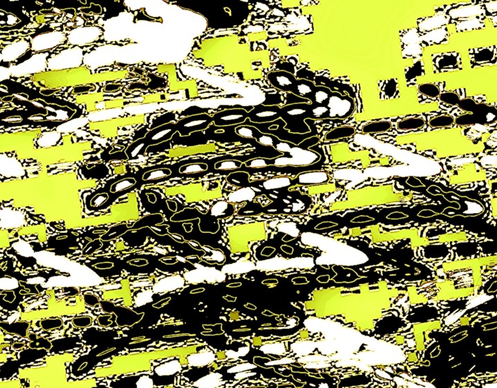 Lights in Motion 101x2h 摄影, 31.3x40 in