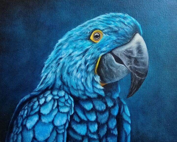 Ara hyacinthe huile sur toile format 33/41 cm 绘画, 13x16.1 in