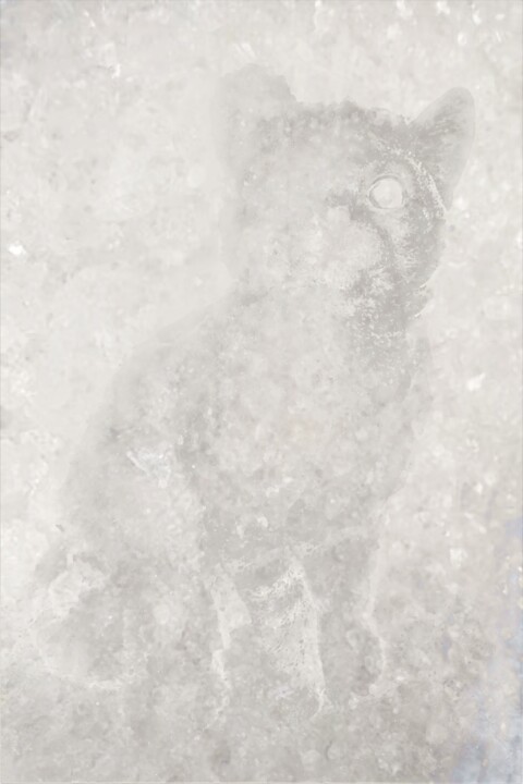 MY FADING COMPANION 数字艺术