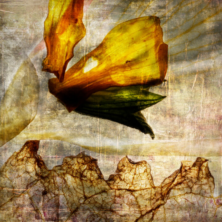 Transparences-5741 摄影