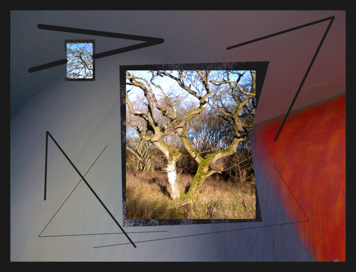 Angles Digital Arts