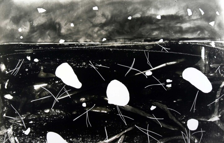 Small Battle 1996 摄影, 12.4x19.7 in