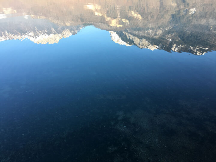 Dans l'eau 摄影