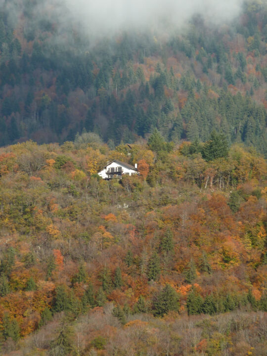 Maisons parmi les arbres 摄影