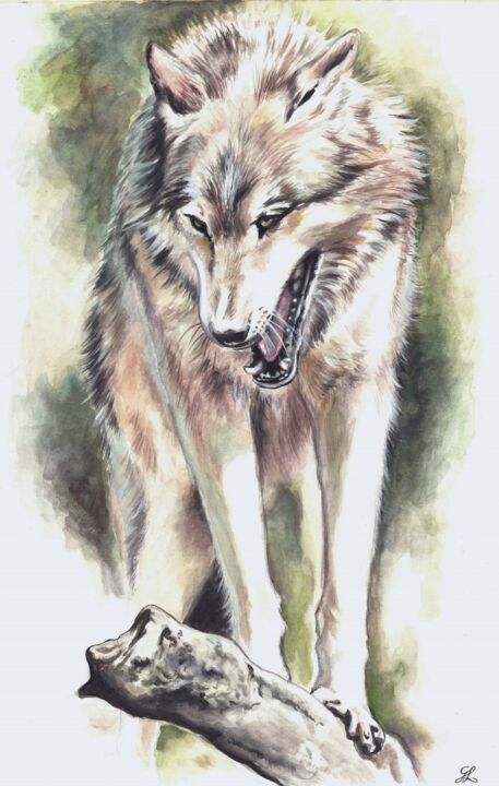 Attention, je veille ! Loup alpha 绘画, 19.1x12.2 in