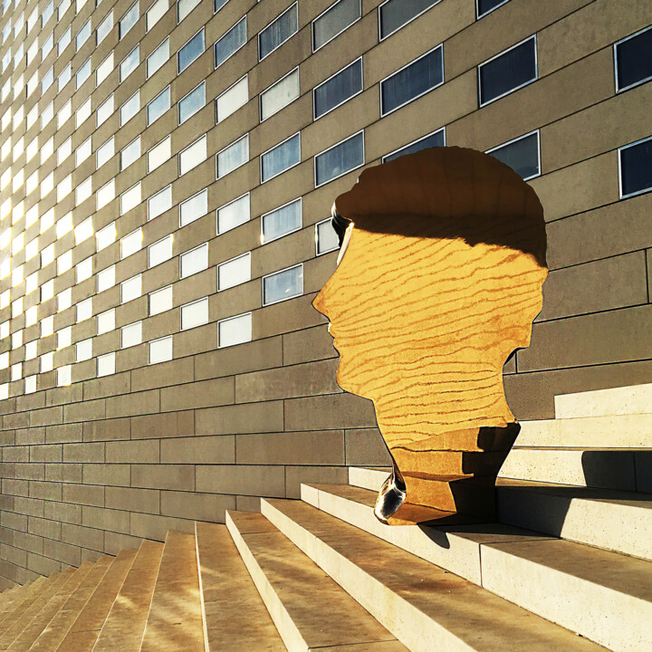 " EN TÊTE DE SONDAGE " (Sculpture de Benoît MAIRE) 摄影