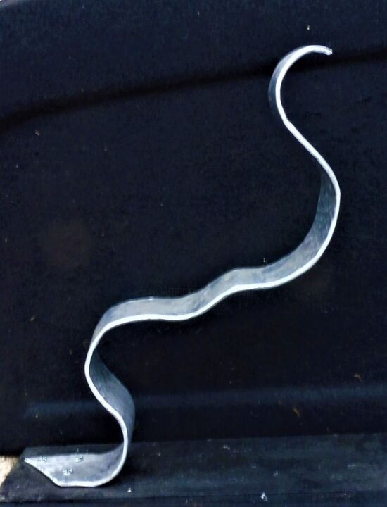Sculpture intitulée "SERPENT" par Servin, Œuvre d'art originale, Métaux