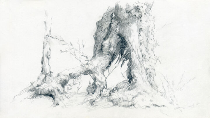 Drawing,  5x8.5 in 