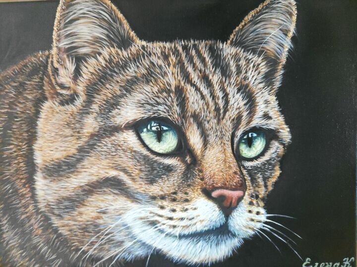 Pintura titulada "Cat with green eyes" por Elena Kozyutenko, Obra de arte original, Oleo Montado en Bastidor de camilla de m…