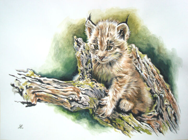 Première grimpette (Chaton lynx) 绘画, 13.6x17.9 in