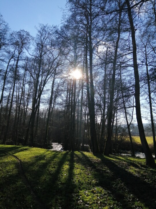 Photographie intitulée "Entre ombre et lumi…" par Laure Barlet, Œuvre d'art originale, Photographie non manipulée