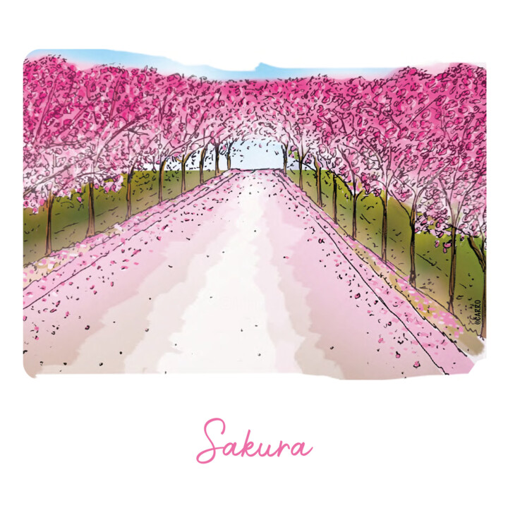 Disegno intitolato "KARI KRO - Sakura" da Pascal Carro (ORAK), Opera d'arte originale, Pennarello