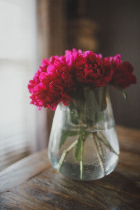 Photography titled "Pink Peony III" by Ken Gehring, Original Artwork, Digital Photography