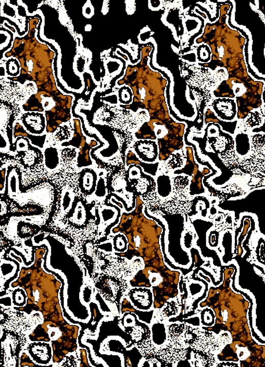 摄影,  30x21.7 in 