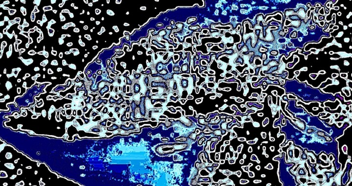 摄影,  21.1x40 in 