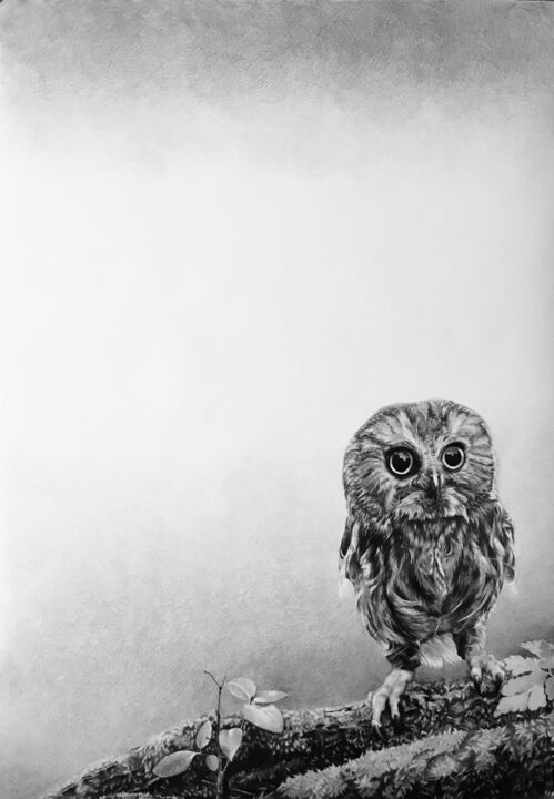 Сова 绘画, 47.2x33.1 in