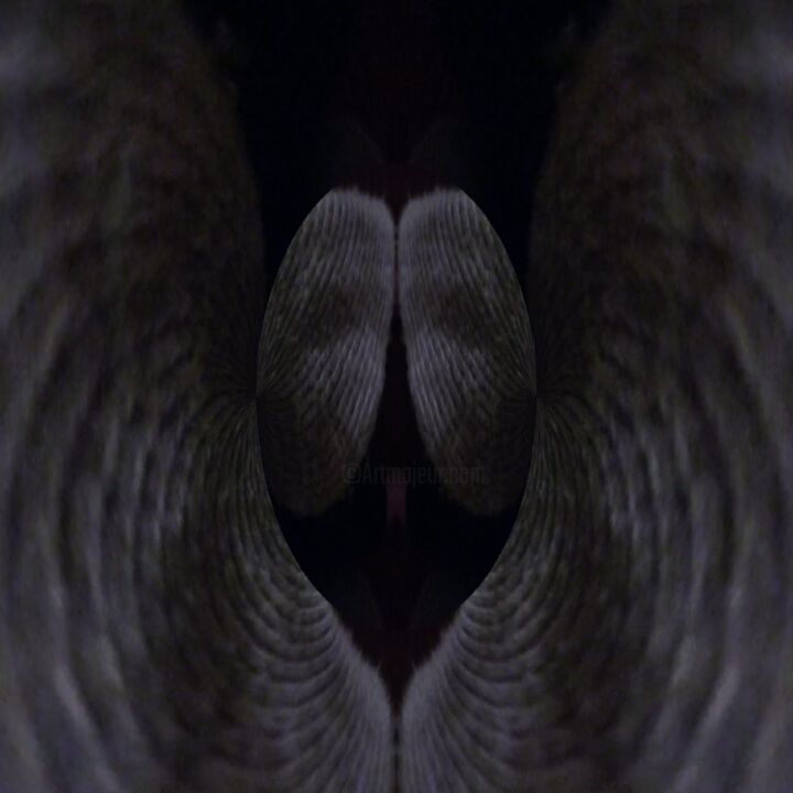 Photography titled "Angel wings" by Dawn Mccutcheon, Original Artwork, Digital Photography