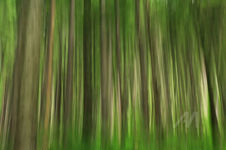 WALD_BGLmove086k 摄影