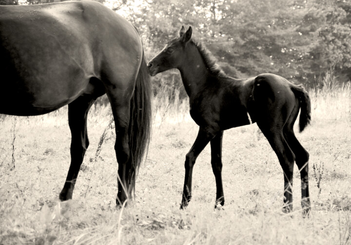 ÉBÈNE, ÂGÉE DE DEUX JOURS