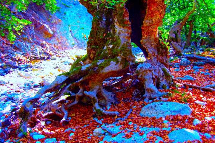 Digital Arts με τίτλο "Red Tree" από Manos Chronakis, Αυθεντικά έργα τέχνης, Φωτογραφία Μοντάζ