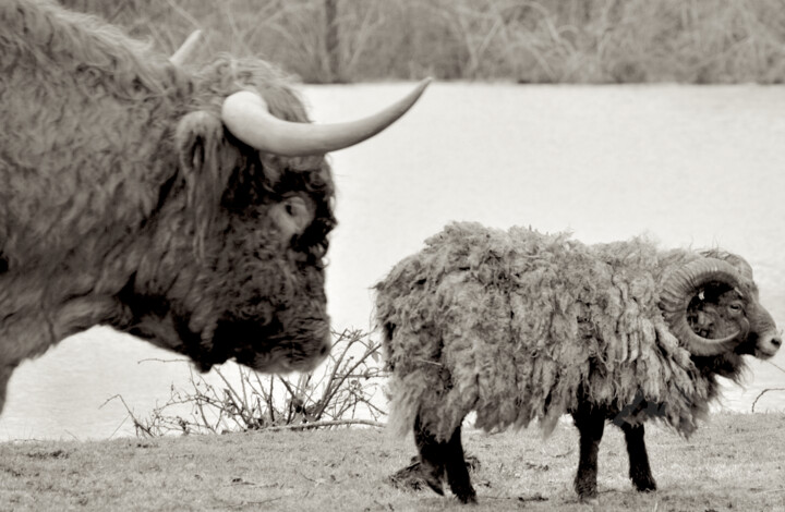 DESCENDUS DE LA PRÉHISTOIRE