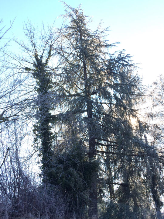 L'attrait du ciel 摄影