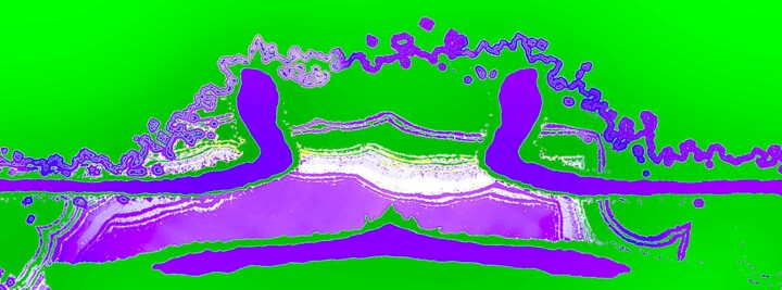 Two Cobras Singing at a River 10a 摄影, 22.3x60 in
