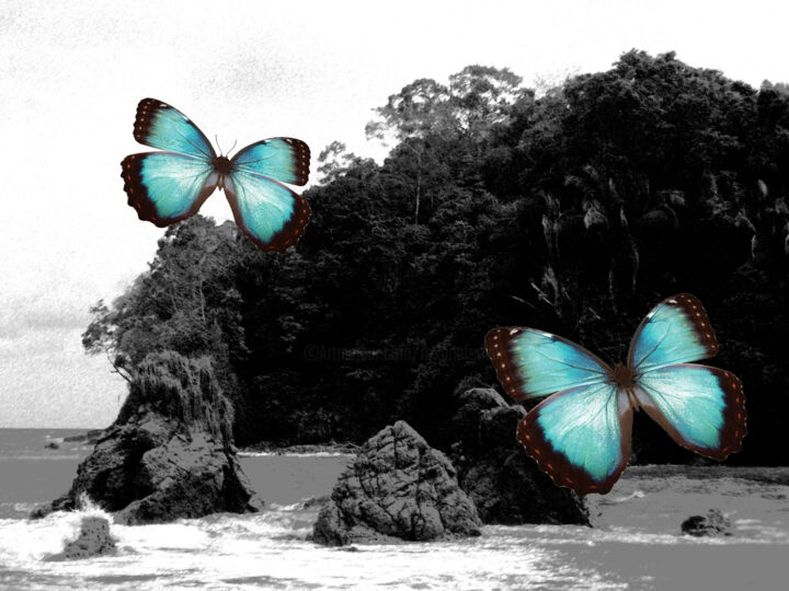 Fotografie getiteld "Manuel Antonio" door Roxana Ferllini, Origineel Kunstwerk, Foto Montage