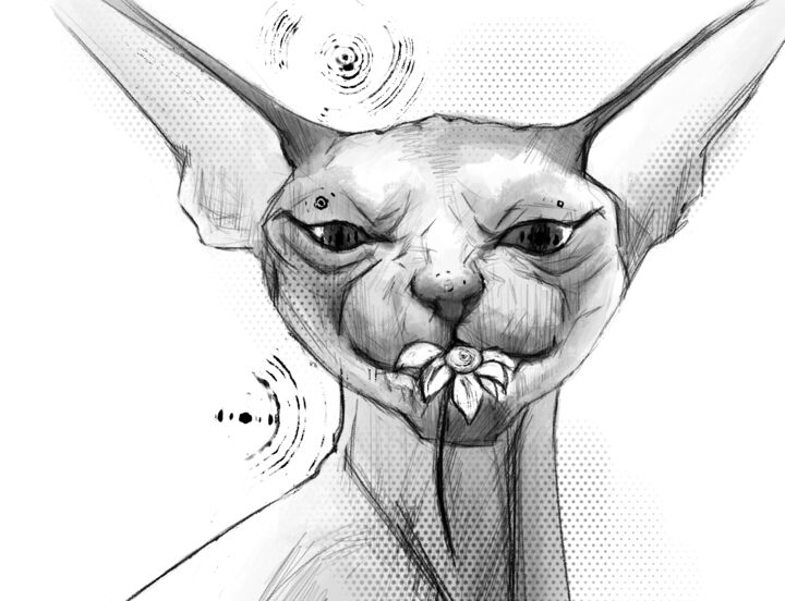 数字艺术 标题为“Cat with a flower” 由Anastasia Semenova, 原创艺术品, 2D数字工作