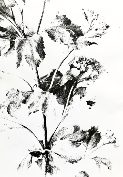 FLOWER 印花与版画, 18.9x13 in