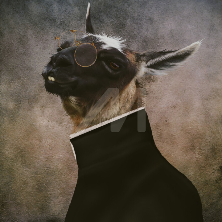 Portrait of a llama with glasses. 数字艺术