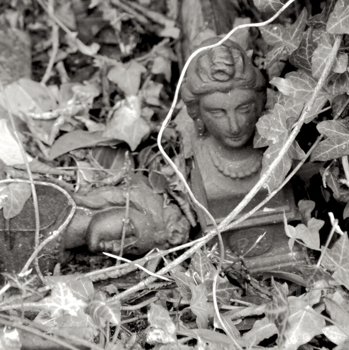 Belles dames endormies