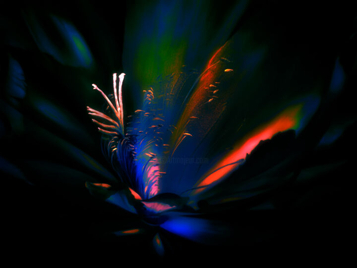 Luminescent Pistil 印花与版画, 40x55 in