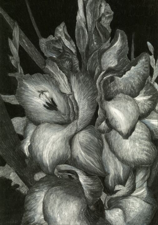 GLADIOLAS III 图画, 23.6x16.5 in