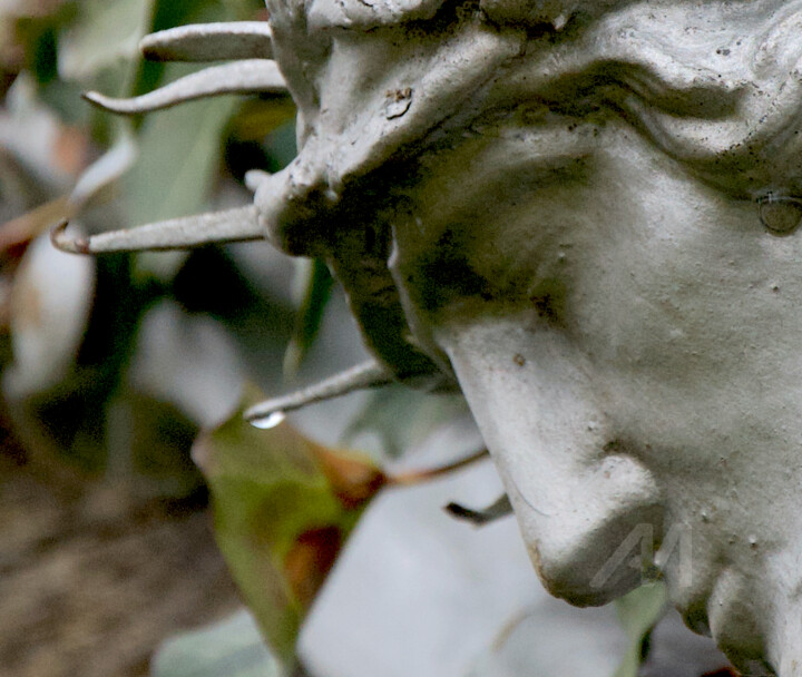 Gouttes de pluie sacrées