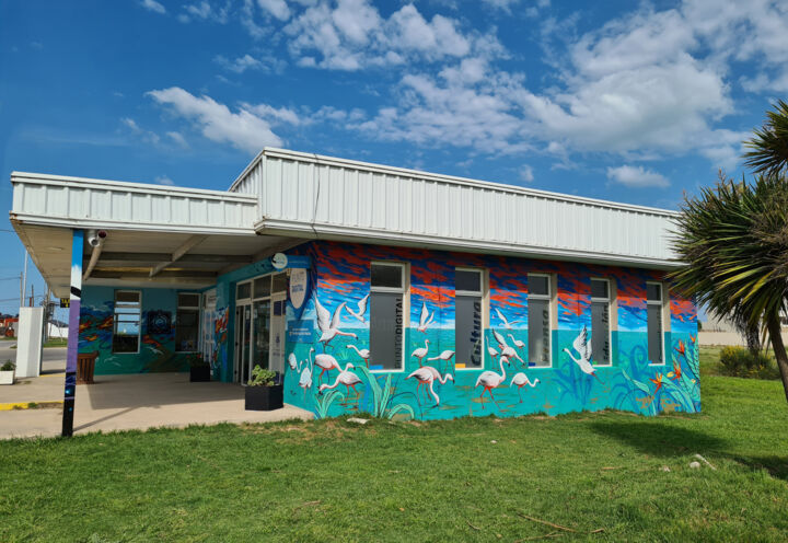 Mural in Santa Clara del Mar 绘画
