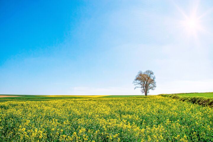 quelque part en artois Photography