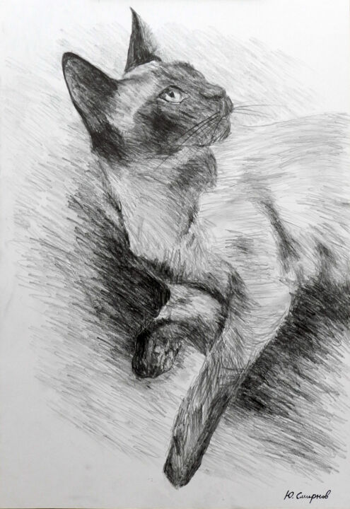 Whiskey 图画, 16.5x11.8 in