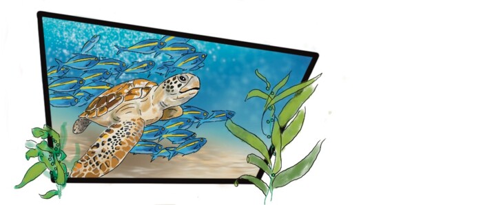 数字艺术 标题为“Seaturtle” 由Els Devrieze, 原创艺术品, 数字油画